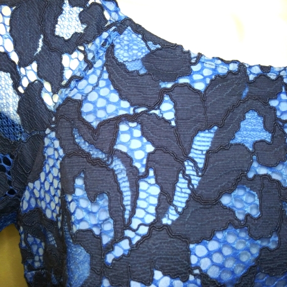 Lilly Pulitzer Aaliyah Two-Tone Blue Romantic Corded Lace Dress - Picture 7 of 14